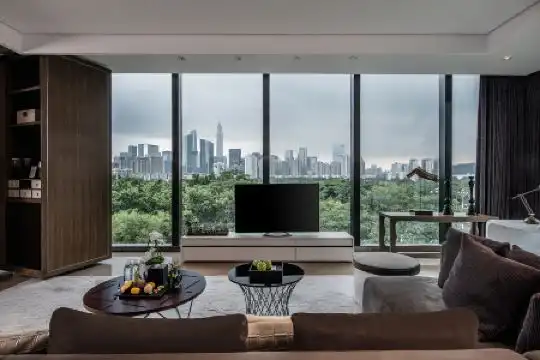 Shenzhen Hui (Huaqiang NorthBusiness Zone) - 4