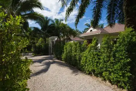 Alisea Pool Villas- Sha Extra Plus - 14
