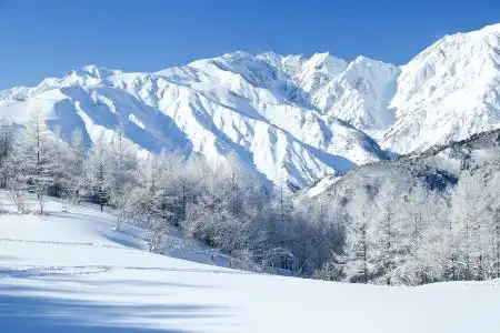 haluta hakuba - 5