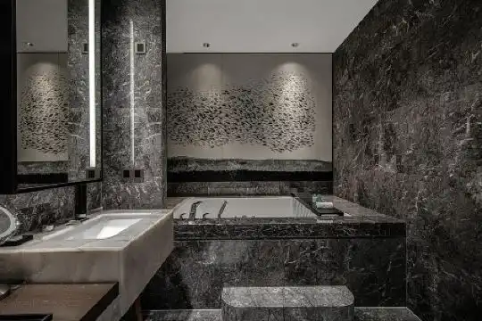 Shenzhen Hui (Huaqiang NorthBusiness Zone) - 12