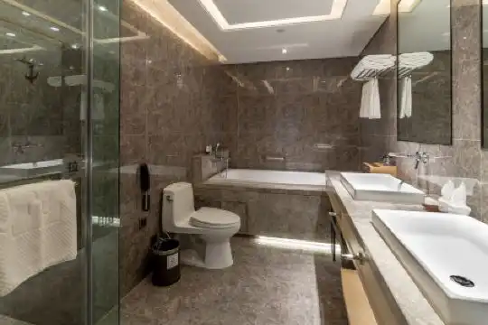 Chongqing Liyuan - 76