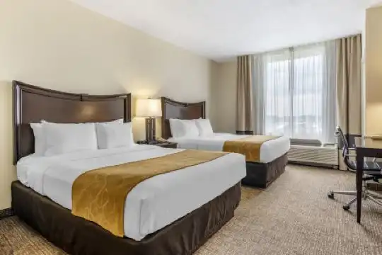Comfort Suites Maingate East - 58