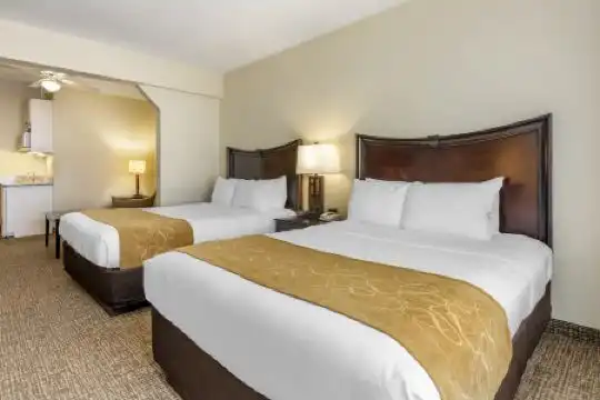 Comfort Suites Maingate East - 59