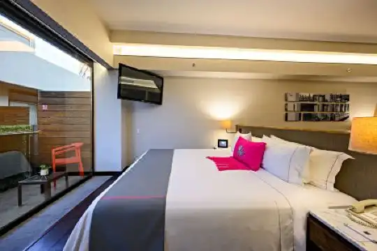 Las Suites Campos Eliseos - 12