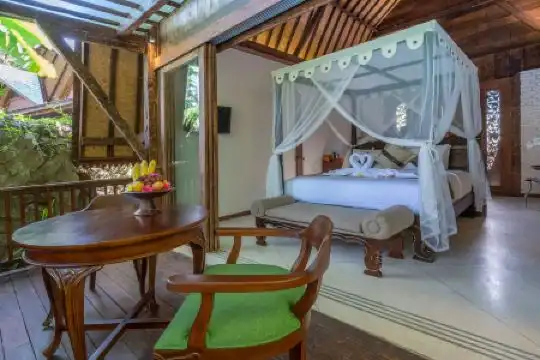 Menzel Ubud - 239