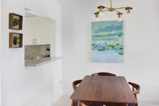 Coral Reef at Key Biscayne - 87