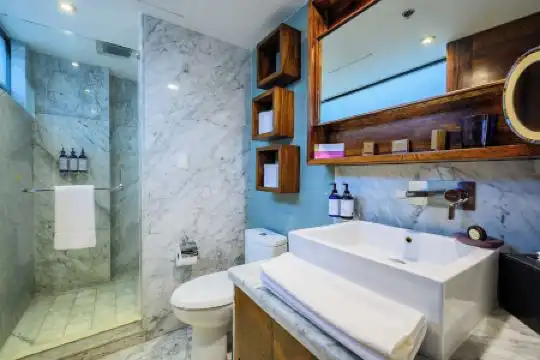 Las Suites Campos Eliseos - 22