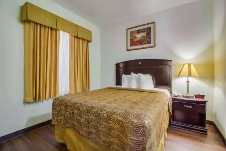 MainStay Suites Texas Medical Center/Reliant Park - 18