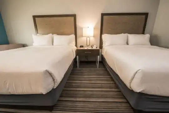 Holiday Inn Express & Suites Houston - Hobby Airport Area, An Ihg - 40