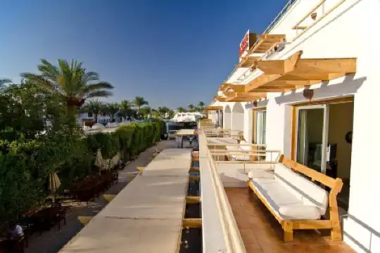 Sunshine Divers Club - Il Porto - 7