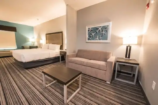 Holiday Inn Express & Suites Houston - Hobby Airport Area, An Ihg - 44