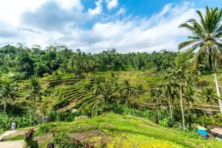 KajaNe Mua at Ubud Bali - 10
