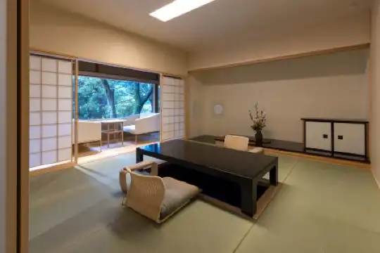 Tsukihitei - 46