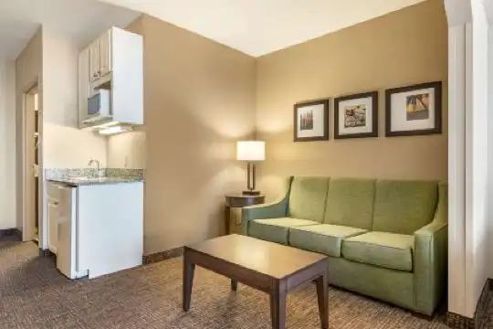 Comfort Suites Maingate East - 71