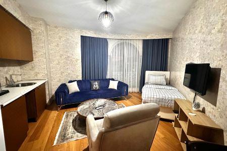 Sabiha Gokcen İStanbul Houses - 19