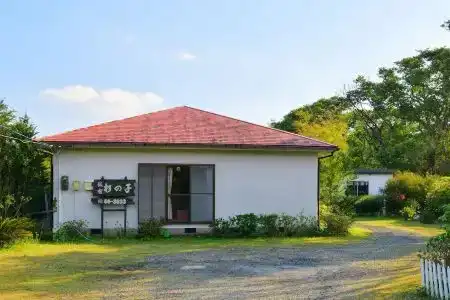 屋久島 民宿すぎのこ - 3