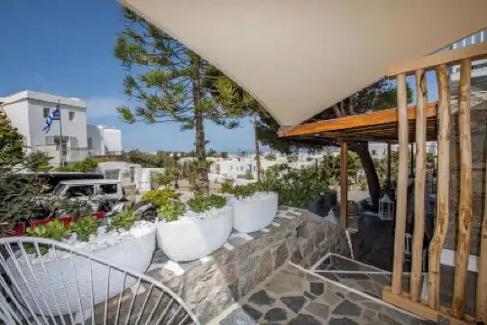 Elena Mykonos - 113