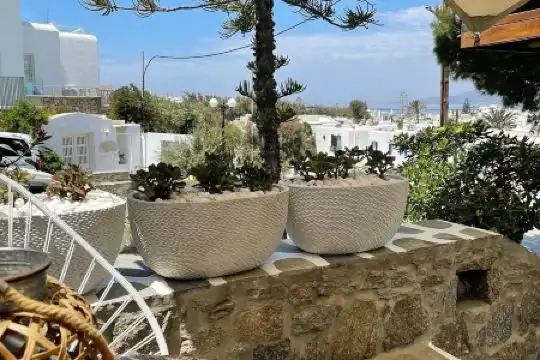 Elena Mykonos - 59