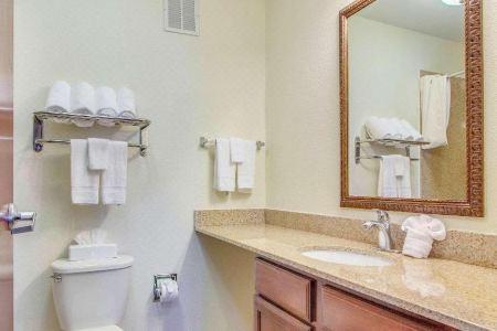 MainStay Suites Texas Medical Center/Reliant Park - 40
