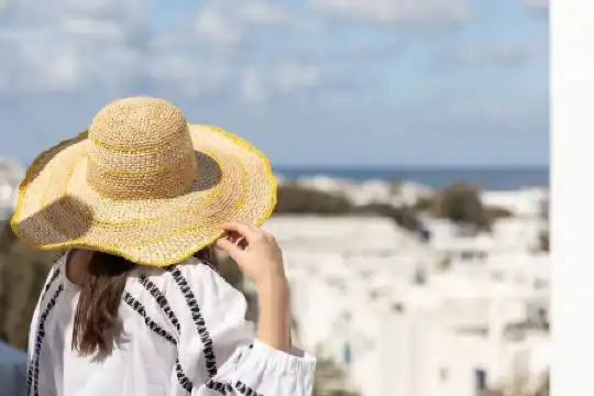 Elena Mykonos - 54