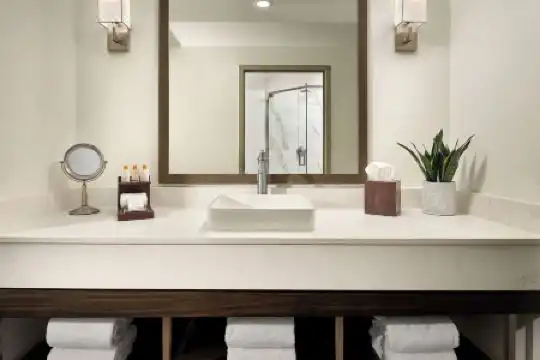 Buena Vista Suites Orlando - 13