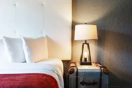 Hollander - Downtown St. Petersburg - 13