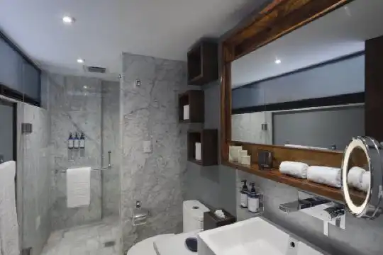 Las Suites Campos Eliseos - 45