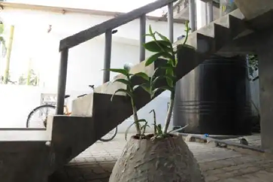 Mountain Wave and Surfshop - 52