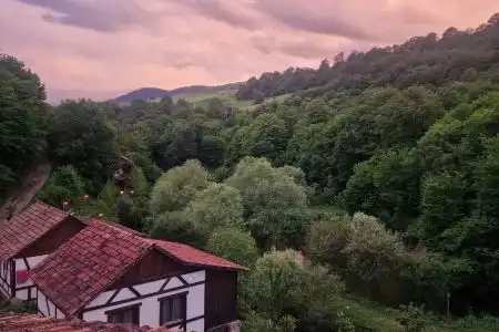Dilijan Nature - 26