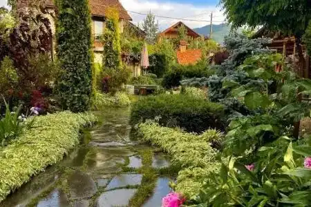 Grig House Eco Resort - 34