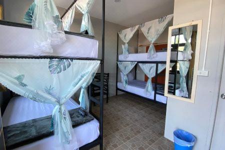 Eclipse Hostel and Bar - 17