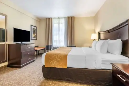 Comfort Suites Maingate East - 64