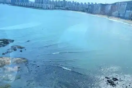 Marine view - 9