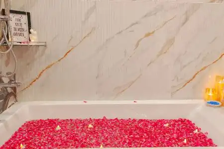 Sarang Palace - Boutique Stays & Candlelight Dining - 2