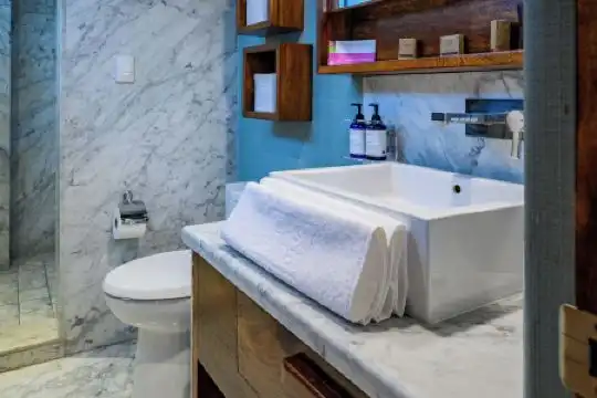 Las Suites Campos Eliseos - 37