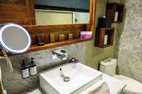 Las Suites Campos Eliseos - 36