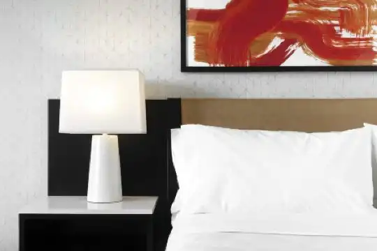 Holiday Inn Chicago Mart Plaza River North, An Ihg - 66