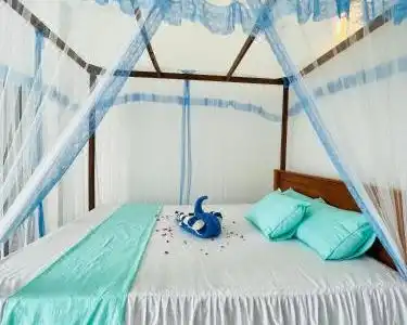 Moon Light Guest - 15