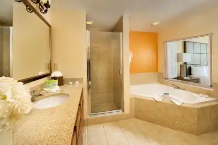 Floridays Orlando Two & Three Bed Rooms Condo Resort - 16