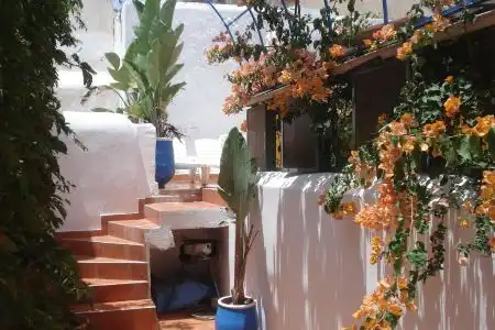 Riad Marlinea - 1
