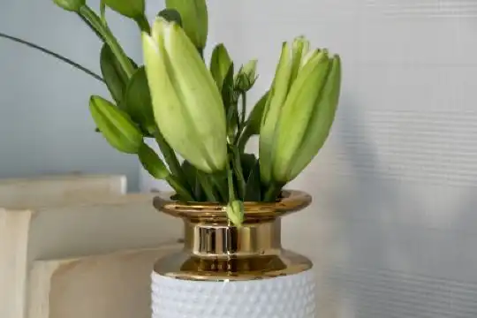 The Pinnacle Athens - 176