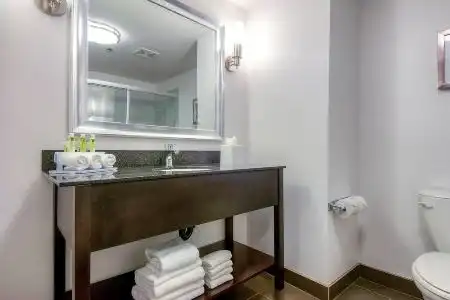 Holiday Inn Express & Suites Carlsbad Beach, An Ihg - 38