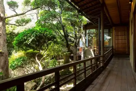 Nipponia Nara Naramachi - 73