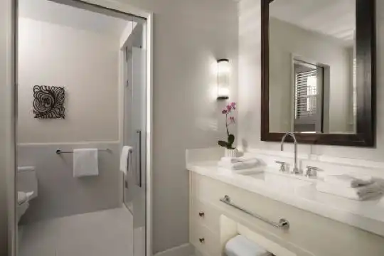 Boca Beach Club, A Waldorf Astoria - 18