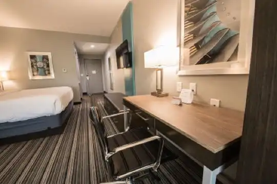 Holiday Inn Express & Suites Houston - Hobby Airport Area, An Ihg - 13