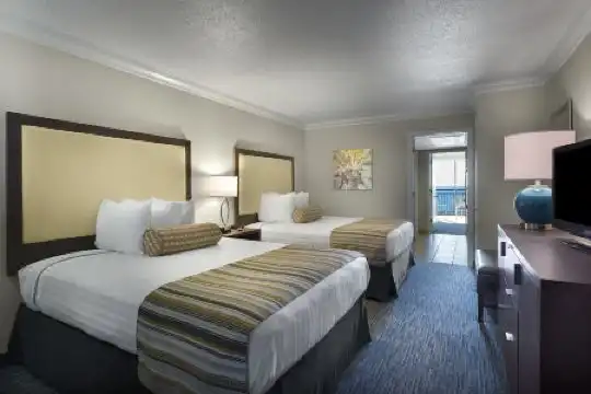Coral Beach - 15