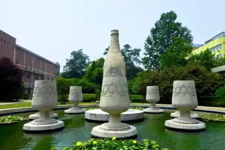 Wolongpu - 6