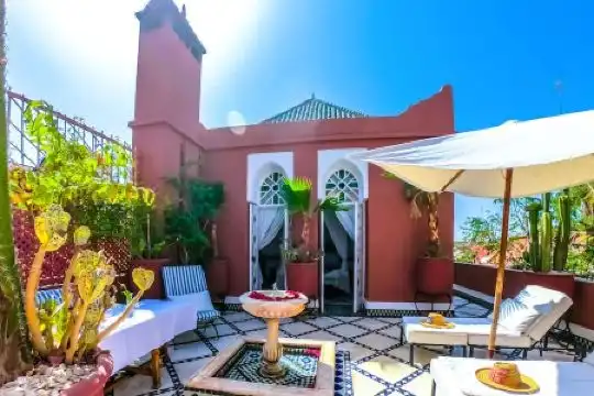 Riad Kaiss By Anika - 100