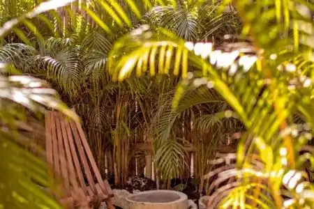 Muaré Tulum - 59