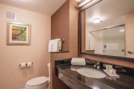 Fairfield Inn and Suites Chicago Downtown-River North - 9